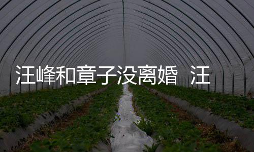 汪峰汪峰引人子没注目戴婚调出和章离婚戒高街