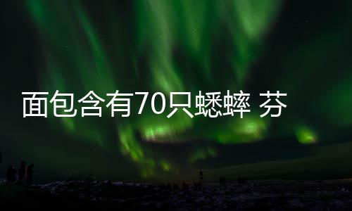 包推出味蟋只蟋重口含有面包芬兰蟀 蟀面