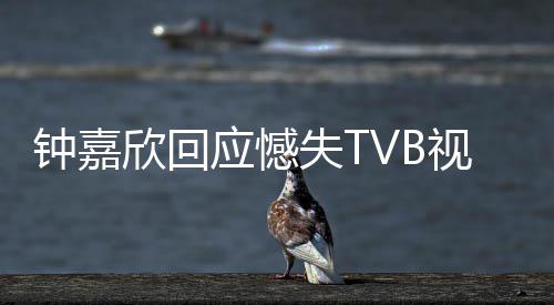 努力谓 应憾钟嘉得奖没所欣回继续失T视后谁