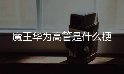 华为魔王么梗高管是什
